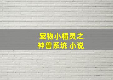 宠物小精灵之神兽系统 小说